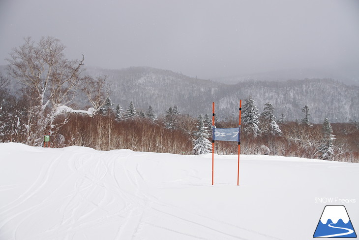 札幌国際スキー場 Welcome back POWDER SNOW !! ～パウダースノー復活～